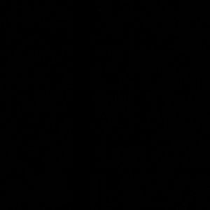 Meet your Posher, Raymond